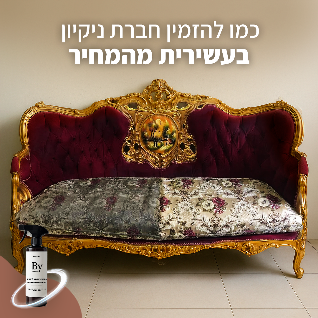 מנקה ריפודים עוצמתי מתאים למגוון סוגי ריפודים